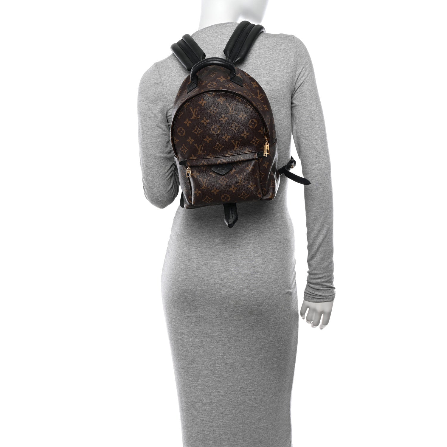 Louis Vuitton Monogram Palm Springs Backpack PM 2 of 10