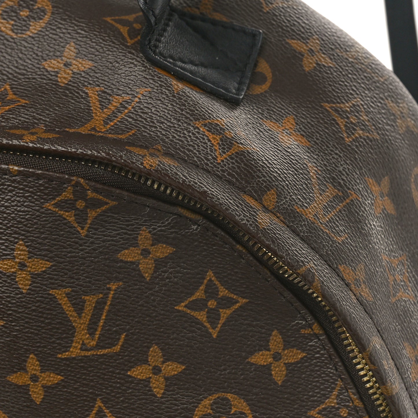 Monogram Palm Springs Backpack MM