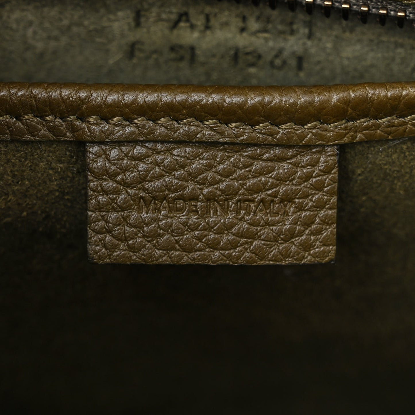 Drummed Calfskin Nano Luggage Dark Olive