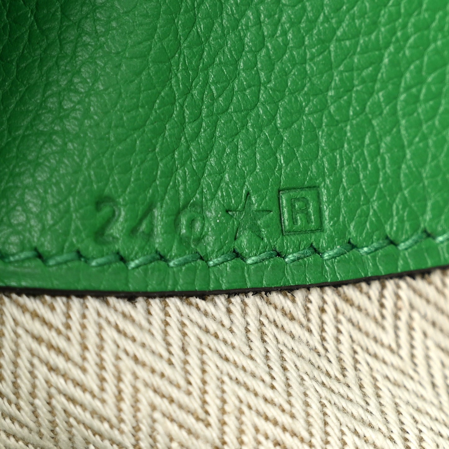Evercolor Oxer Bambou