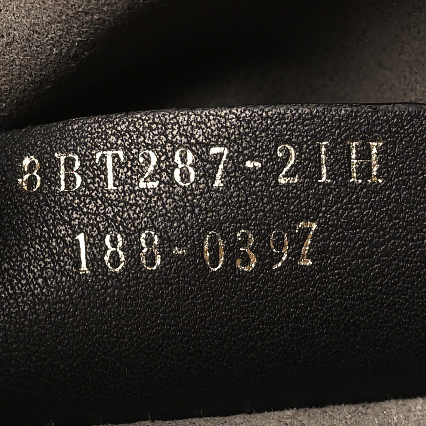 Vitello Century Opaco F is Fendi Camera Case Amido