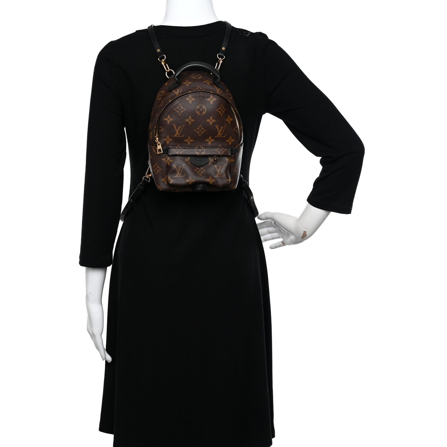 Monogram Palm Springs Backpack Mini