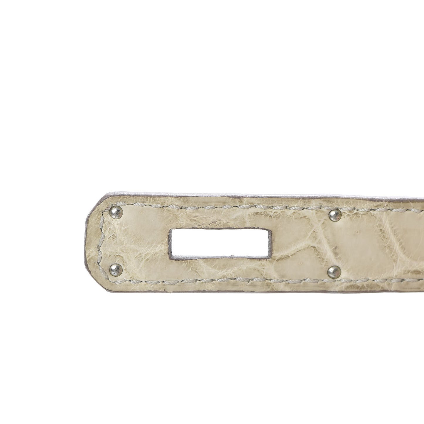 Matte Niloticus Crocodile Birkin 35 Beton