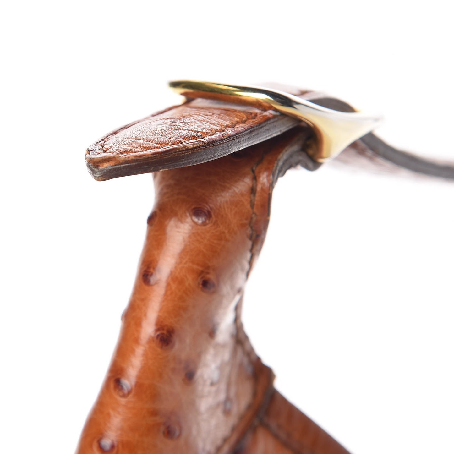 Ostrich Trim II 31 Cognac