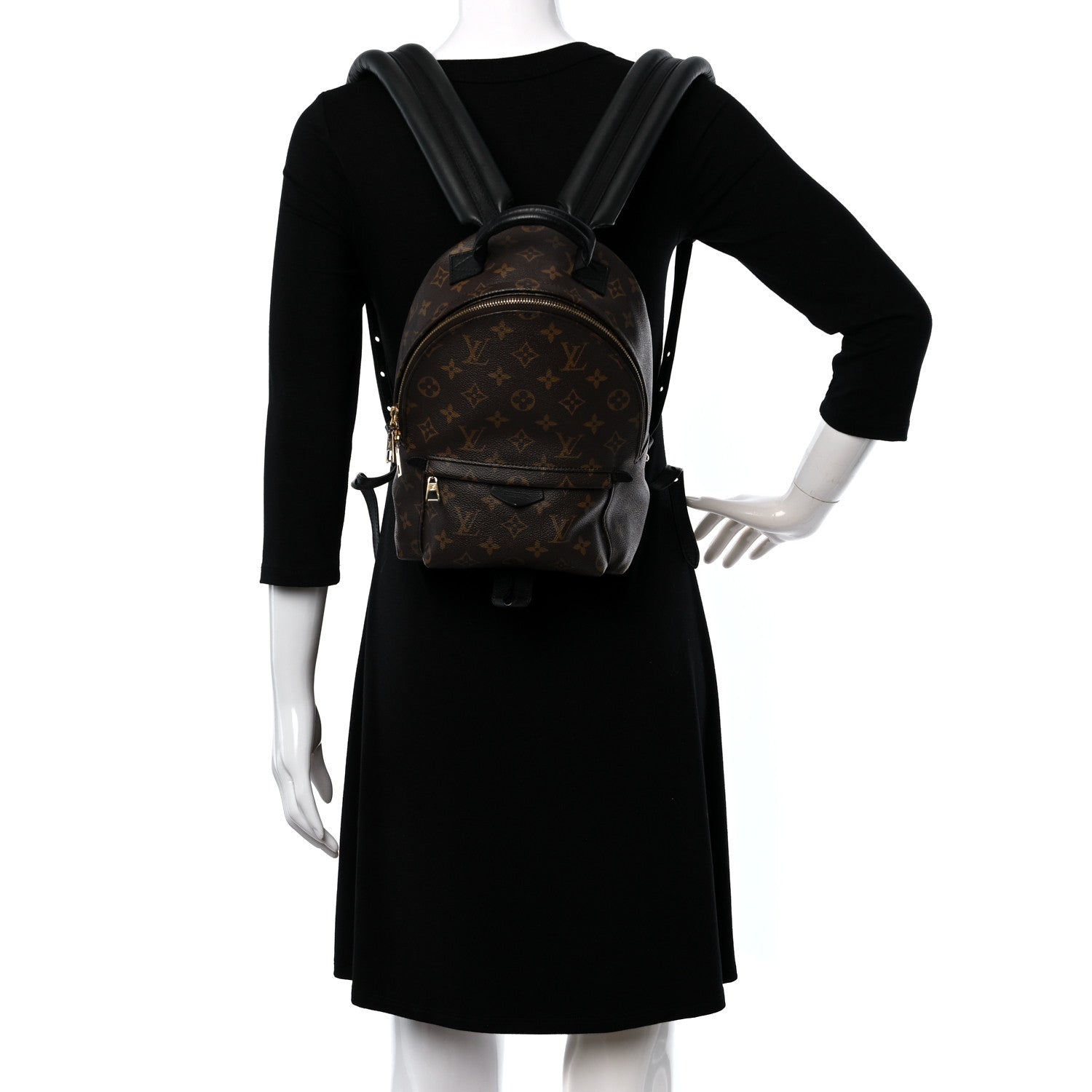 Louis Vuitton Monogram Palm Springs Backpack PM 2 of 8