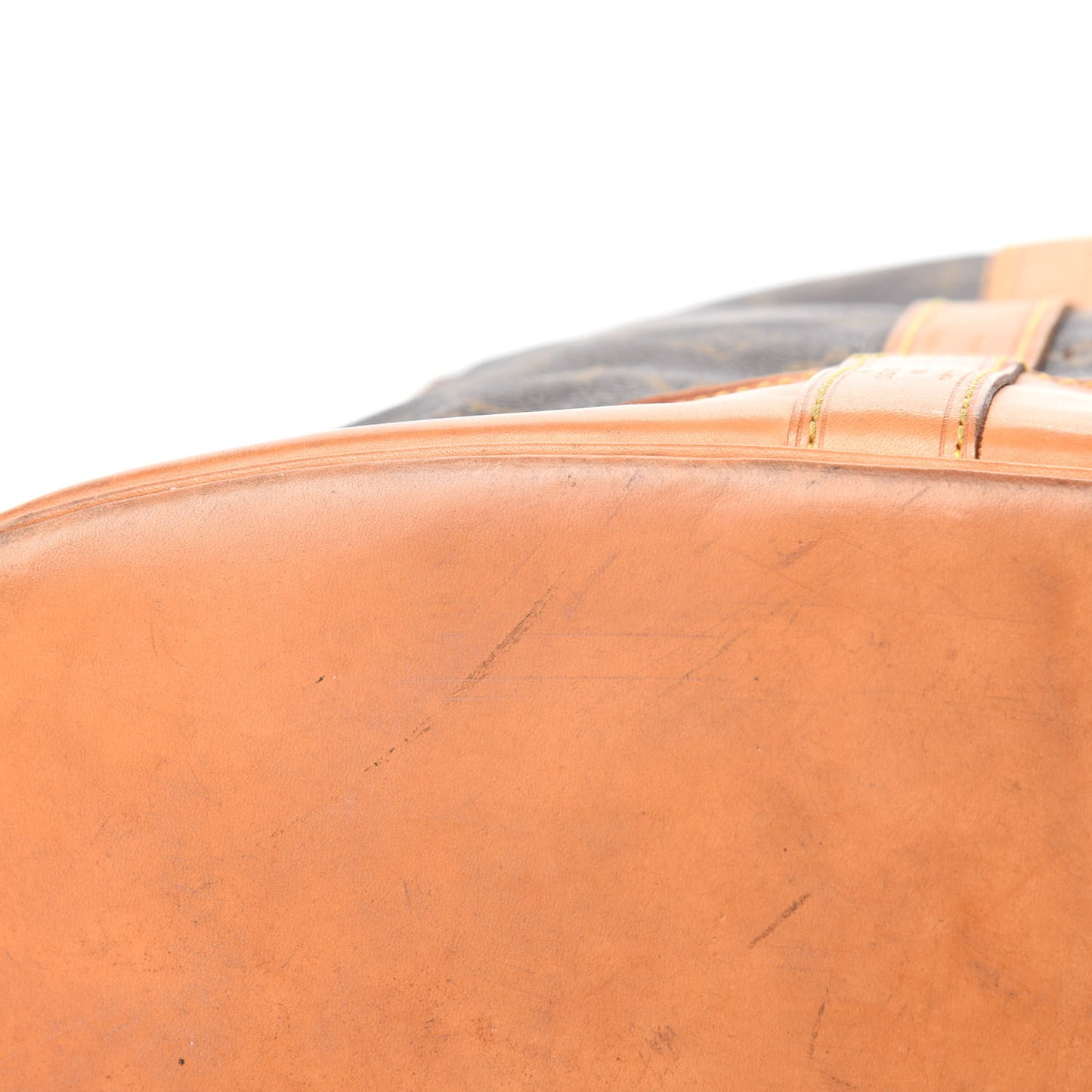 Monogram Randonnee GM Backpack