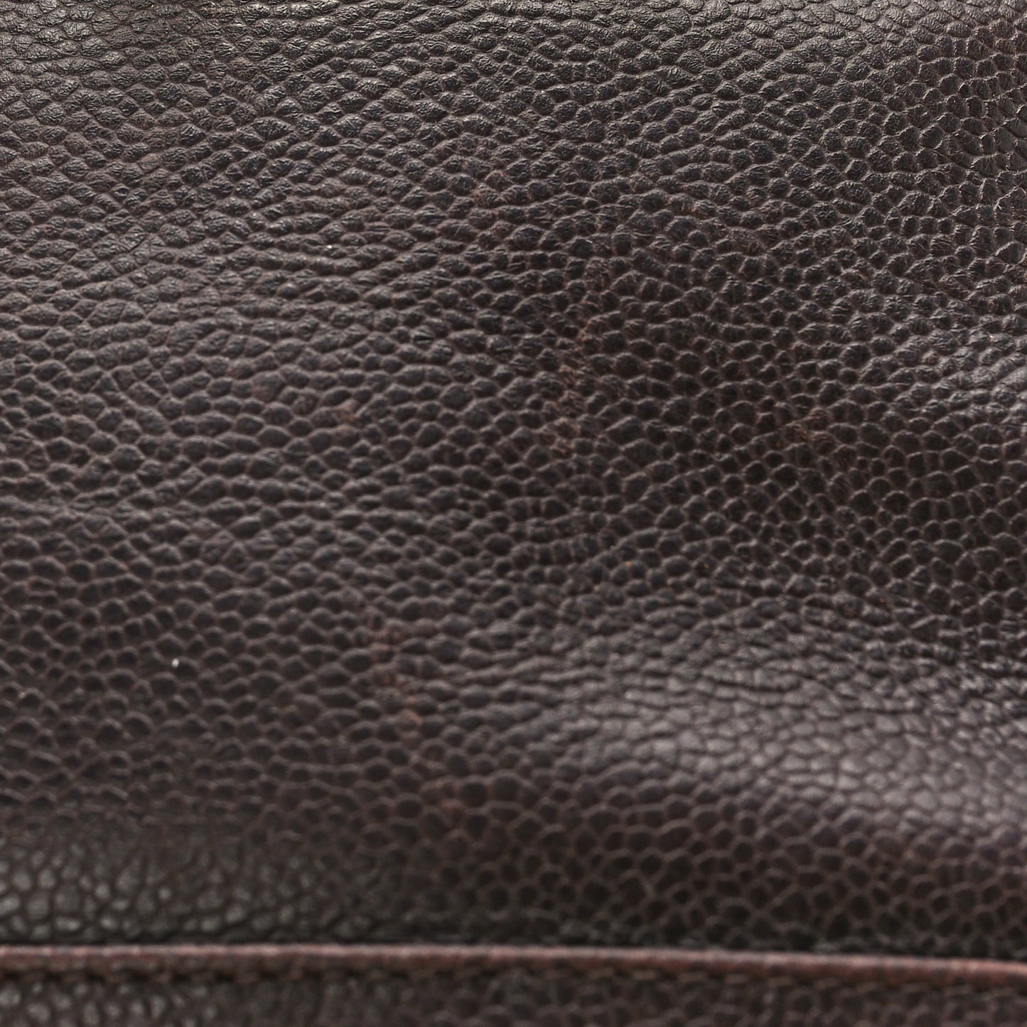 Caviar CC Backpack Brown