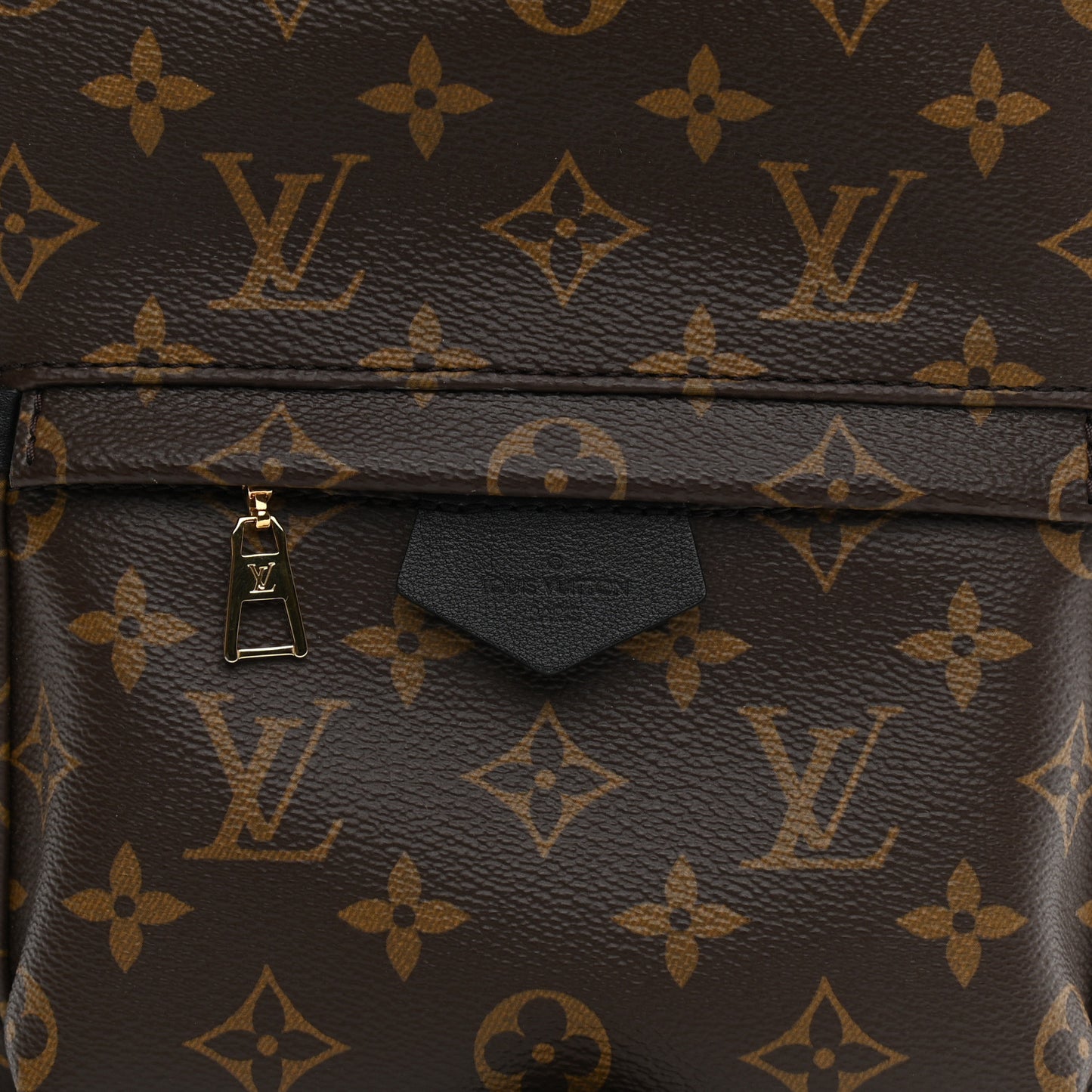 Monogram Palm Springs Backpack PM