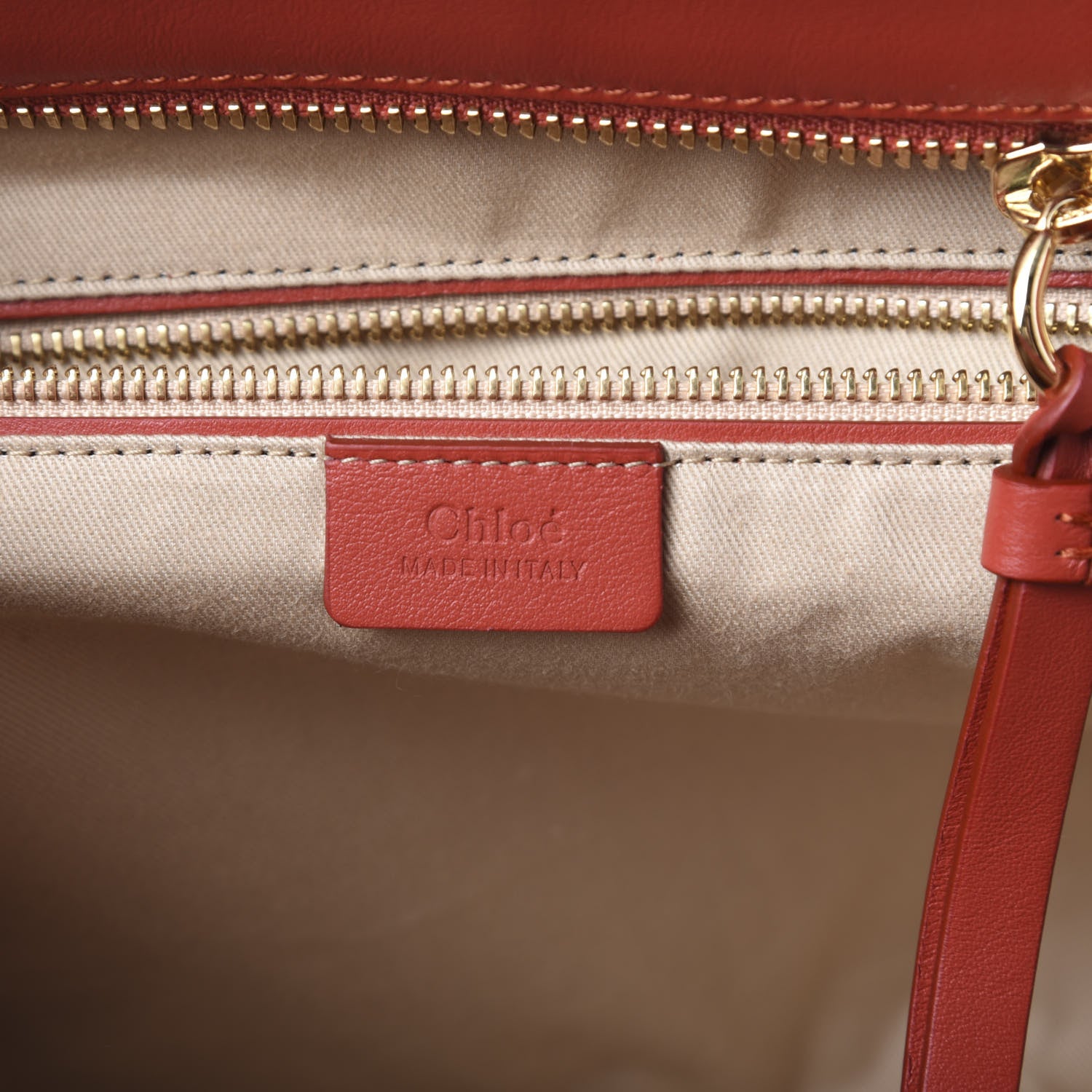 Chloe Smooth Calfskin Little Horses Embroidered Tao Zipped Tote Earthy Red 5 of 12