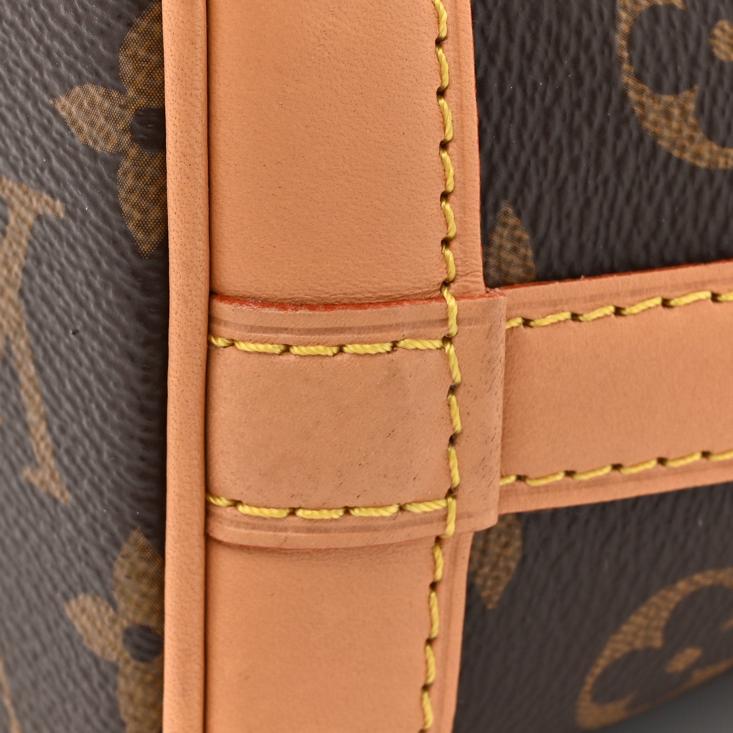Monogram Nano Noe NV