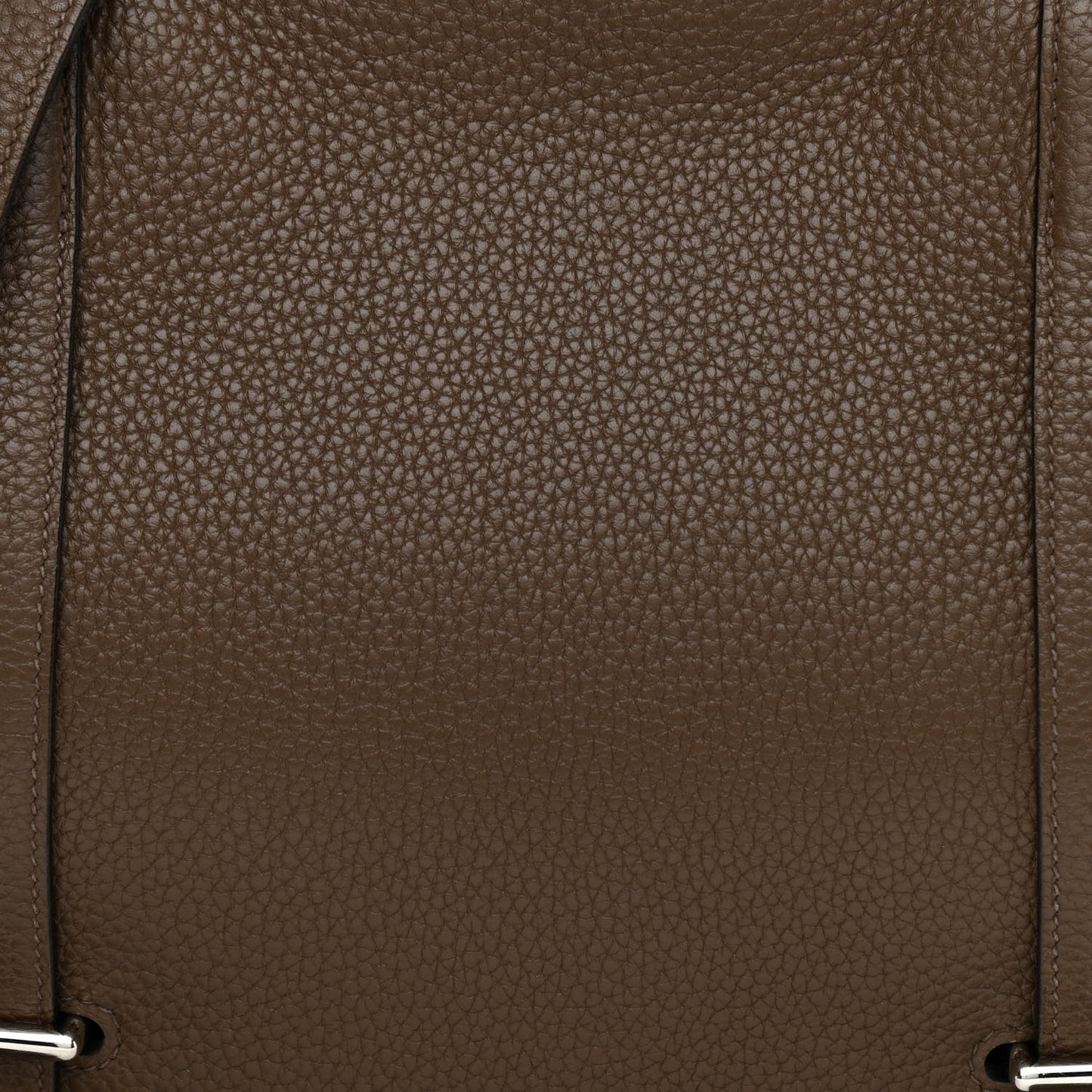 Taurillon Clemence Steve Caporal Messenger Cacao