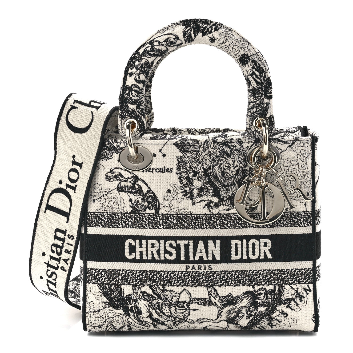 Christian Dior Canvas Embroidered Zodiac Toile De Jouy Medium Lady D-Lite Latte 1 of 11