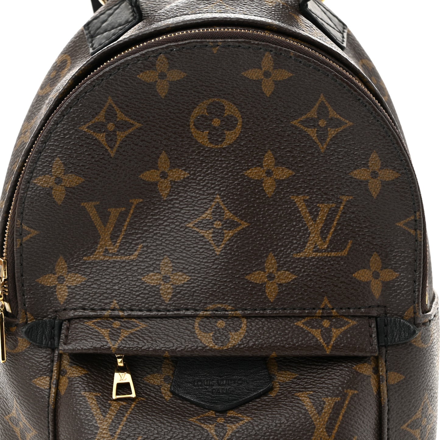 Monogram Palm Springs Backpack Mini