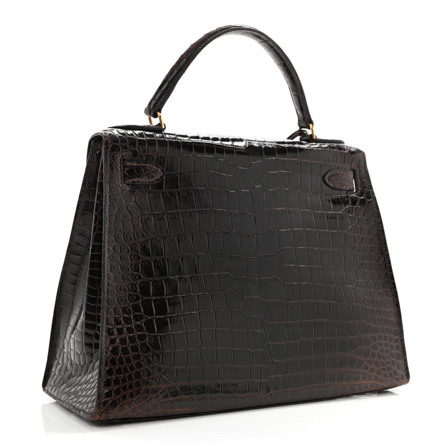 Shiny Porosus Crocodile Kelly Sellier 28