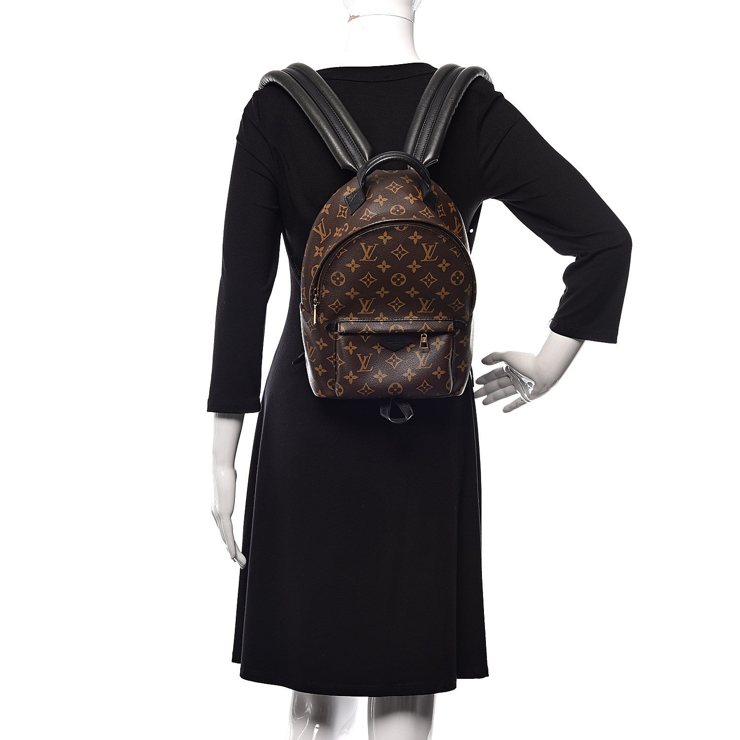 Louis Vuitton Monogram Palm Springs Backpack PM 2 of 10