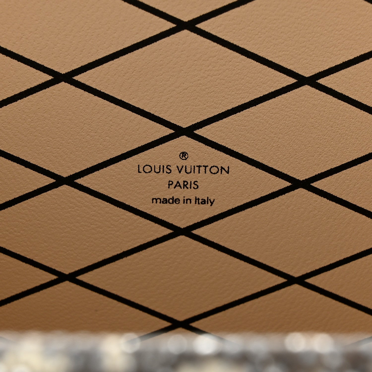 Louis Vuitton Lizard Petite Malle Silver 6 of 10