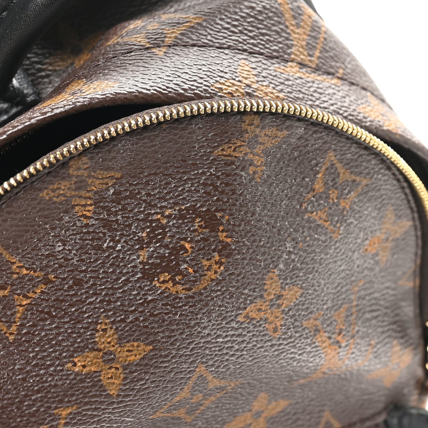Monogram Palm Springs Backpack Mini