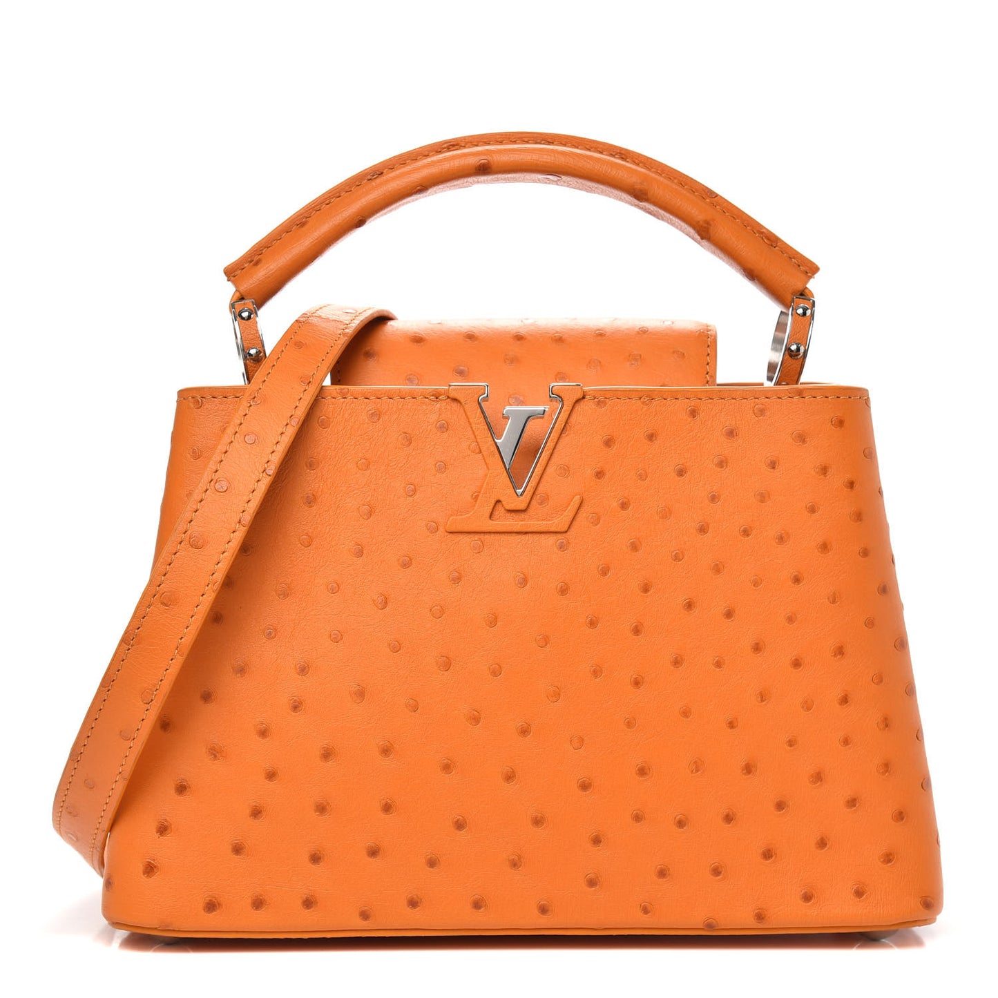 Ostrich Capucines BB Marigold