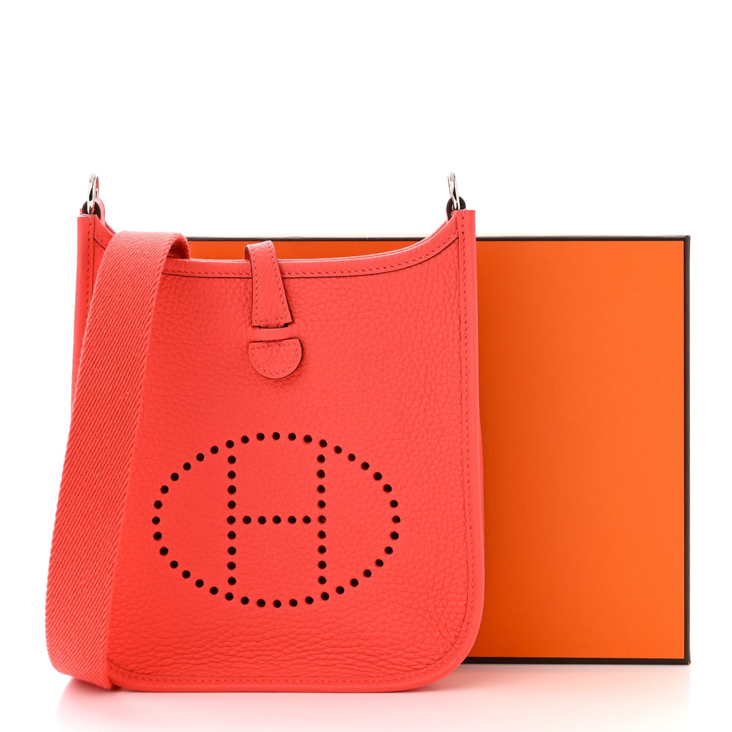 Taurillon Clemence Evelyne TPM Rose Texas Rose Jaipur