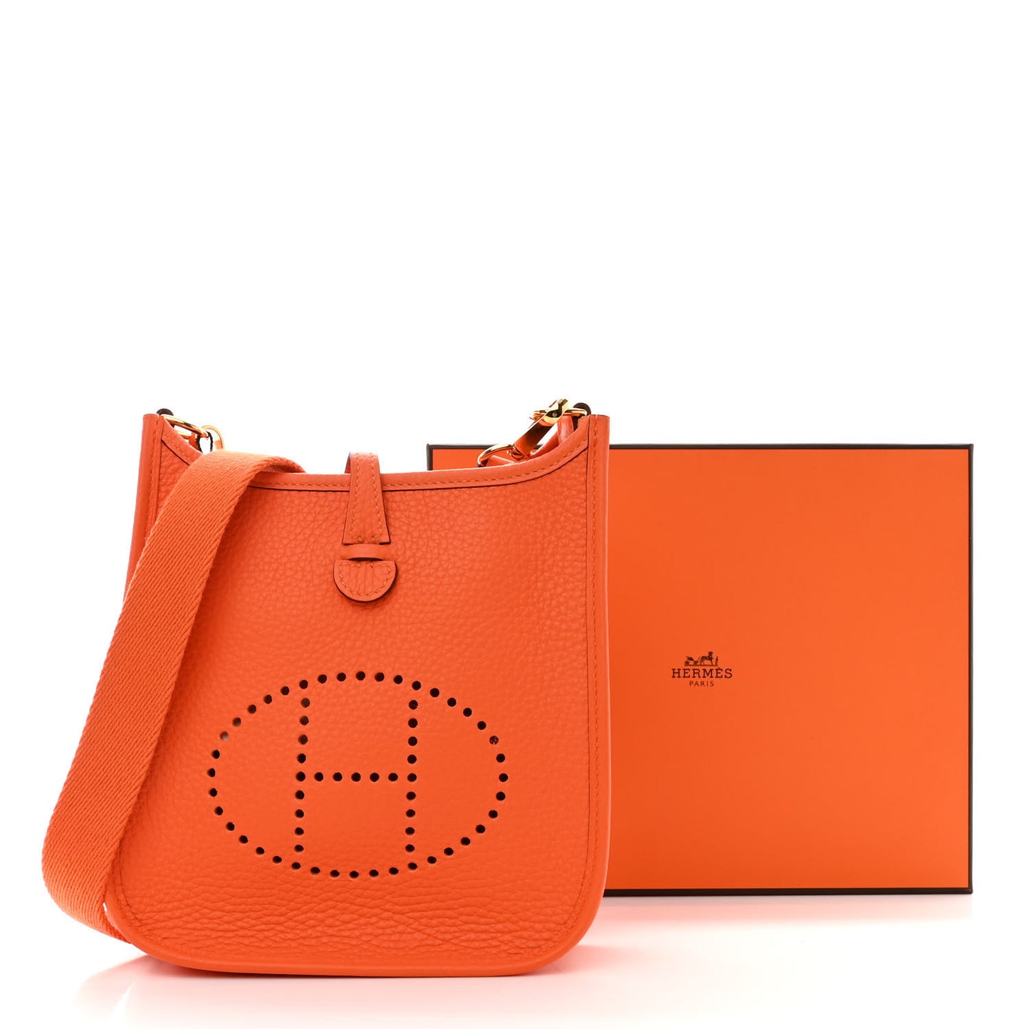 Taurillon Clemence Evelyne TPM Orange