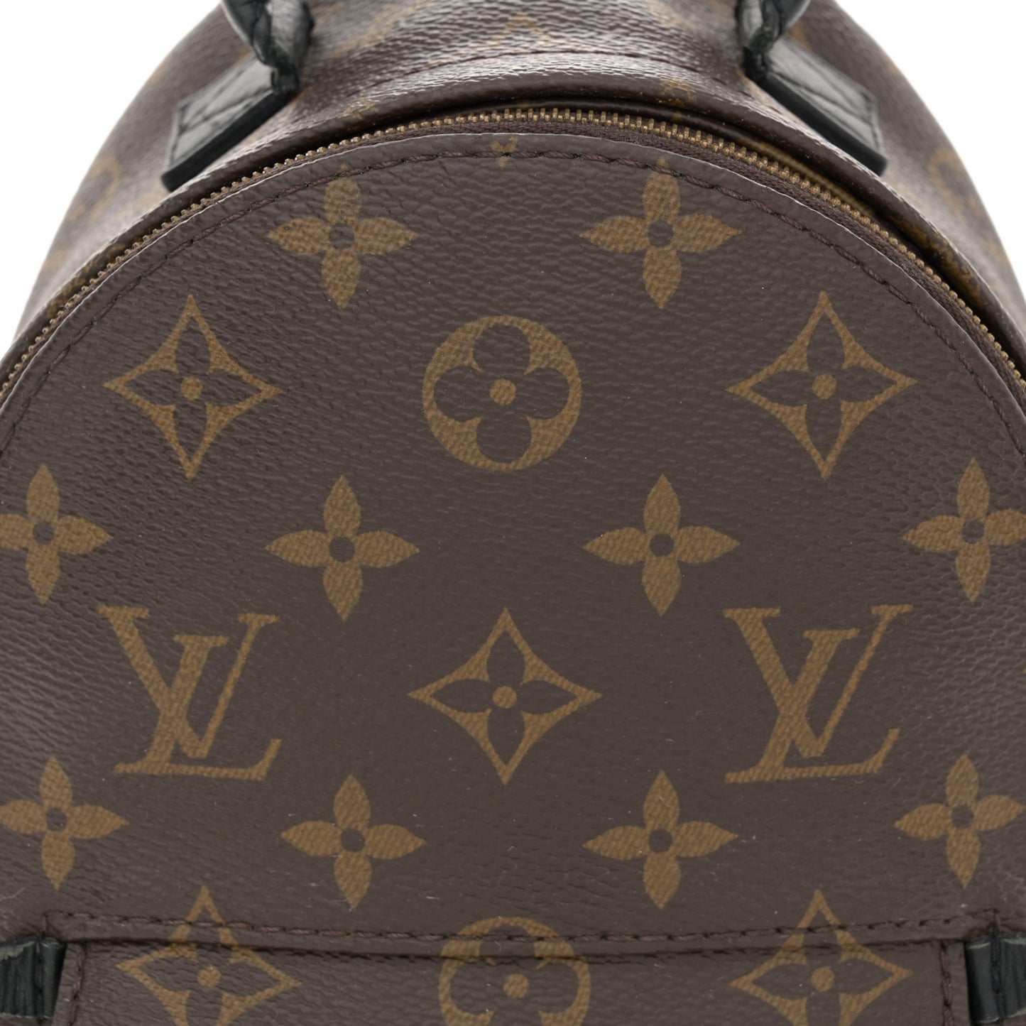 Monogram Palm Springs Backpack Mini