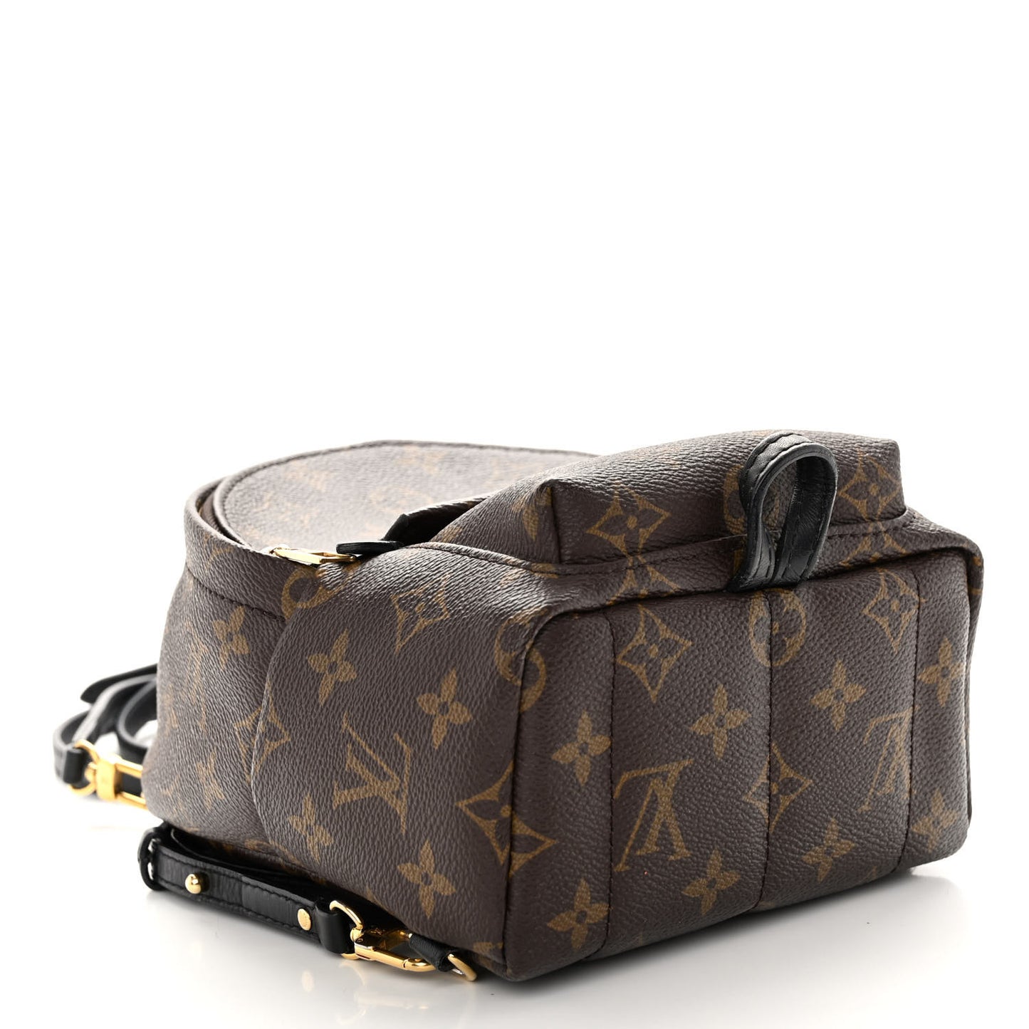 Monogram Palm Springs Backpack Mini