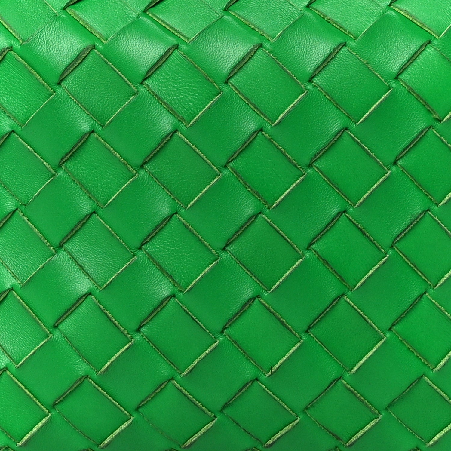 Bottega Veneta Nappa Intrecciato Small Loop Camera Bag Parakeet 7 of 11