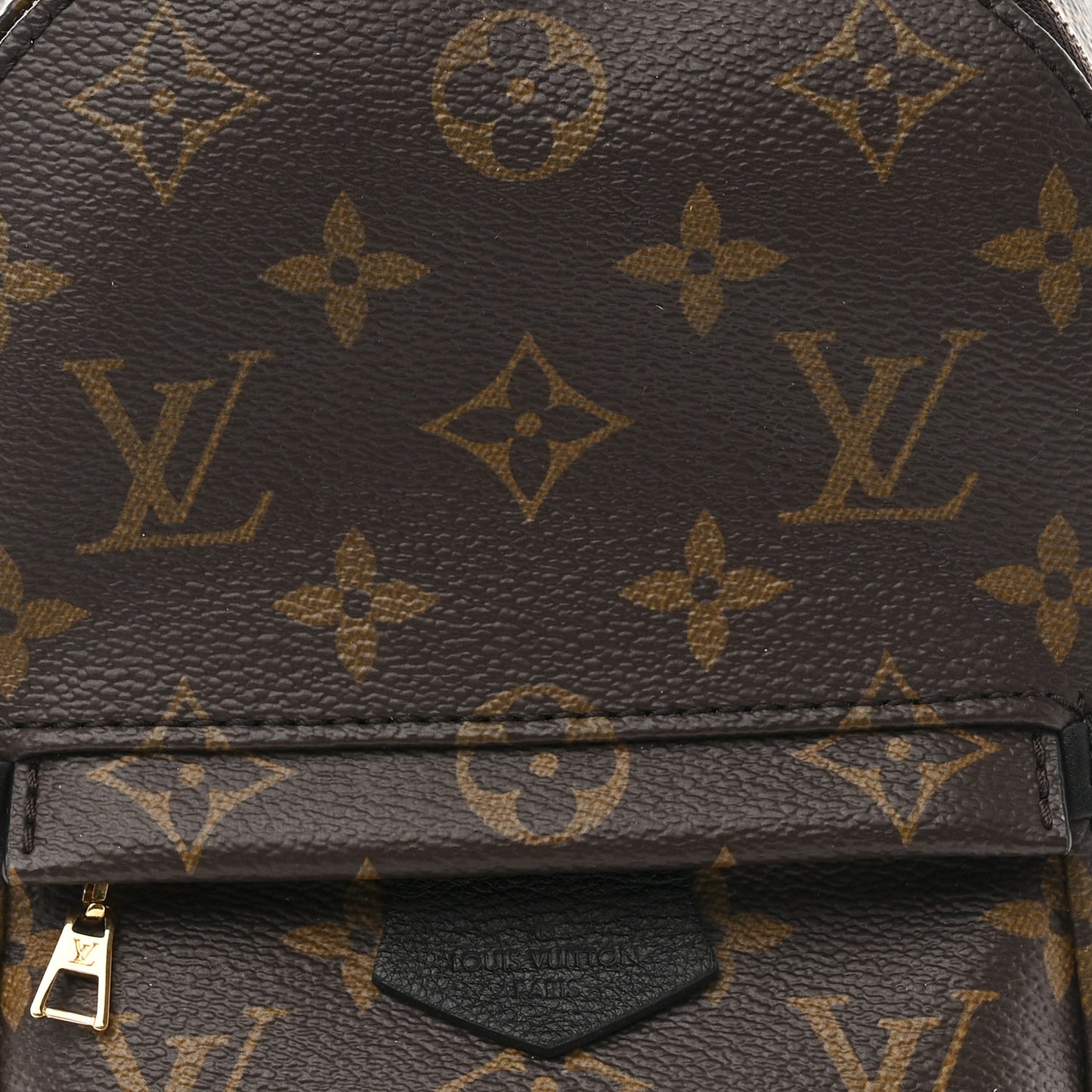 Monogram Palm Springs Backpack Mini