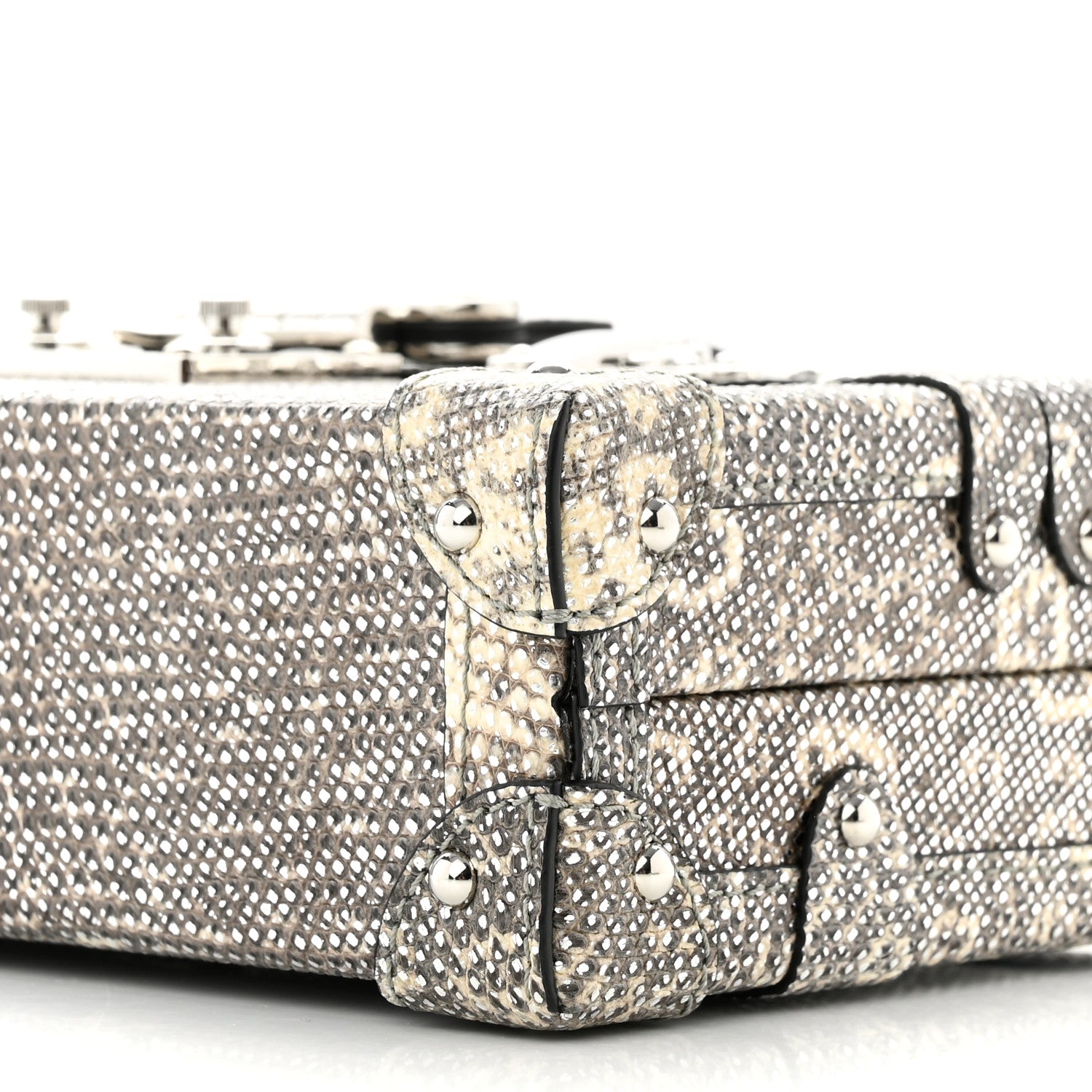 Louis Vuitton Lizard Petite Malle Silver 9 of 10