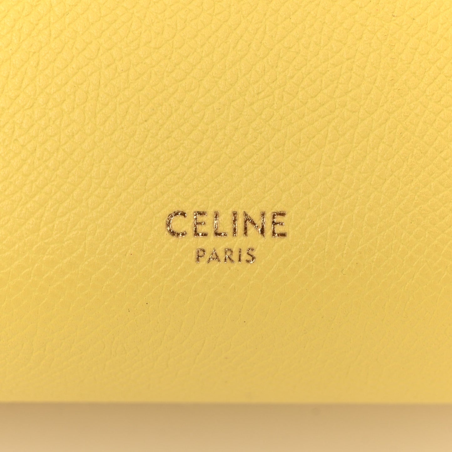 Grained Calfskin Nano Belt Bag Citron