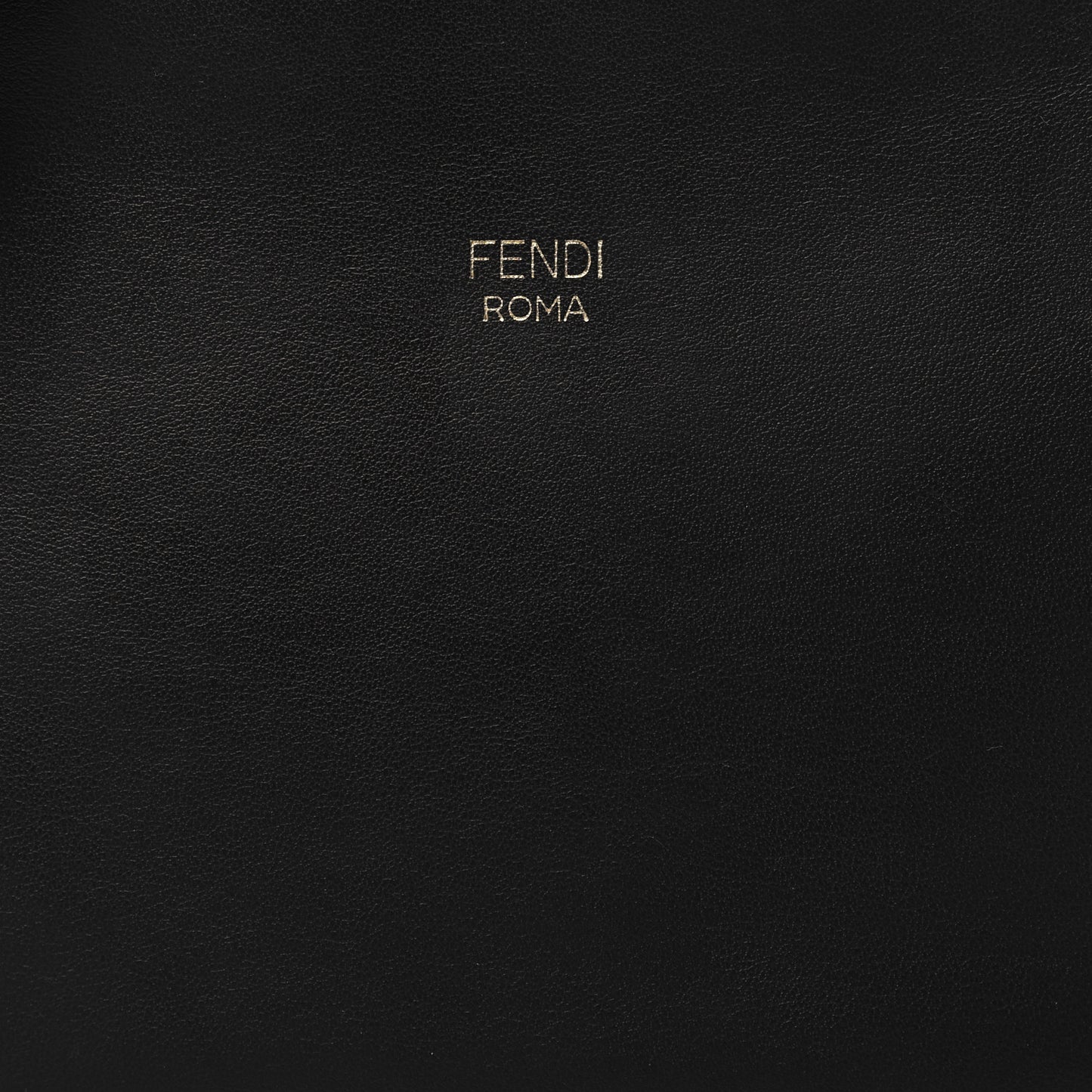 Vitello Century Opaco F is Fendi Camera Case Black