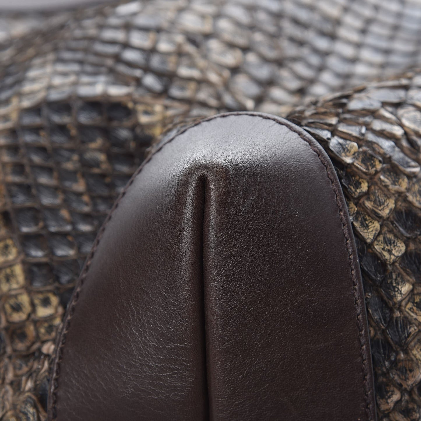 Python Medium Craft Tote Brown