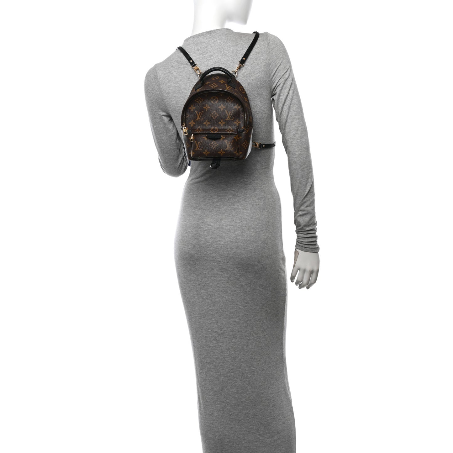 Monogram Palm Springs Backpack Mini