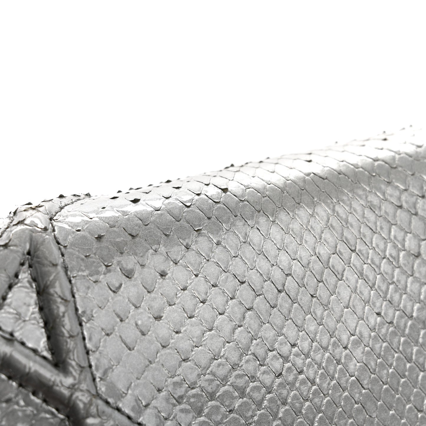 Snakeskin Diorama Wallet on Chain Pouch Silver