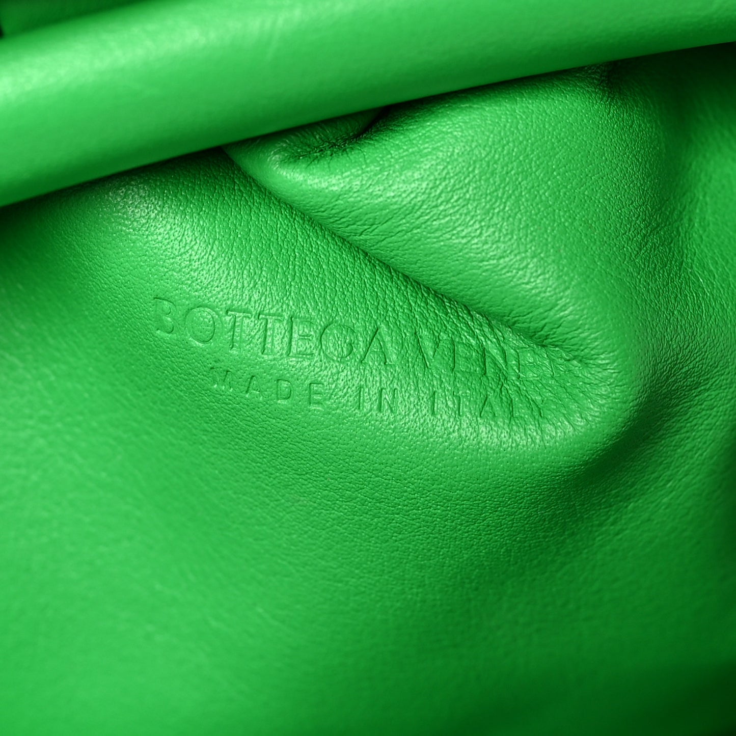 Butter Calfskin The Mini Pouch Parakeet
