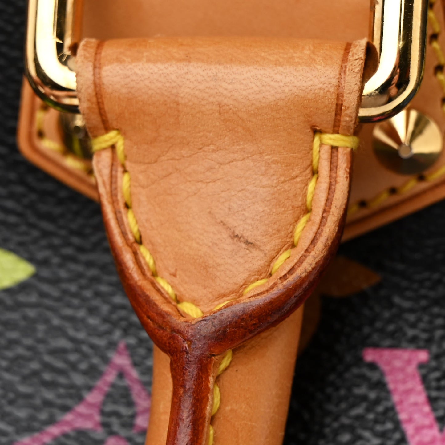Monogram Multicolor Alma Black