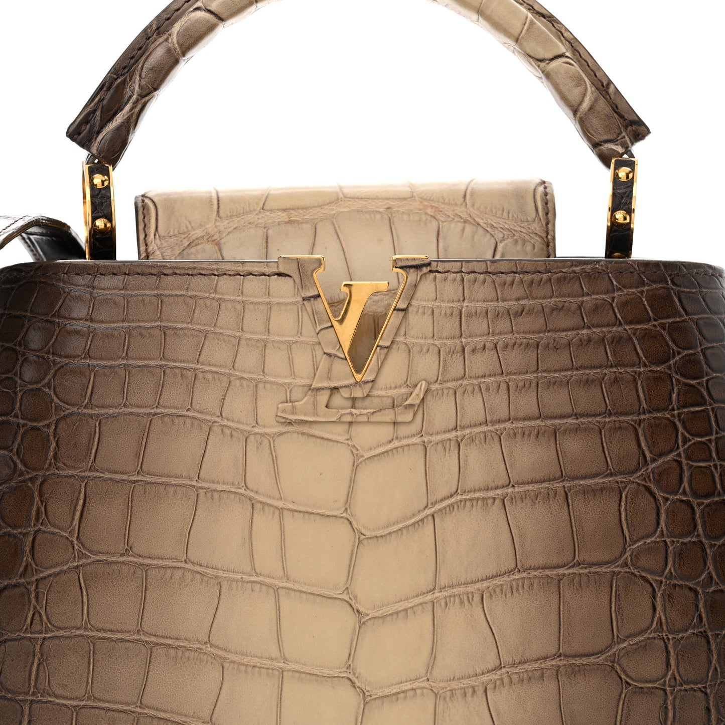 Alligator Capucines BB
