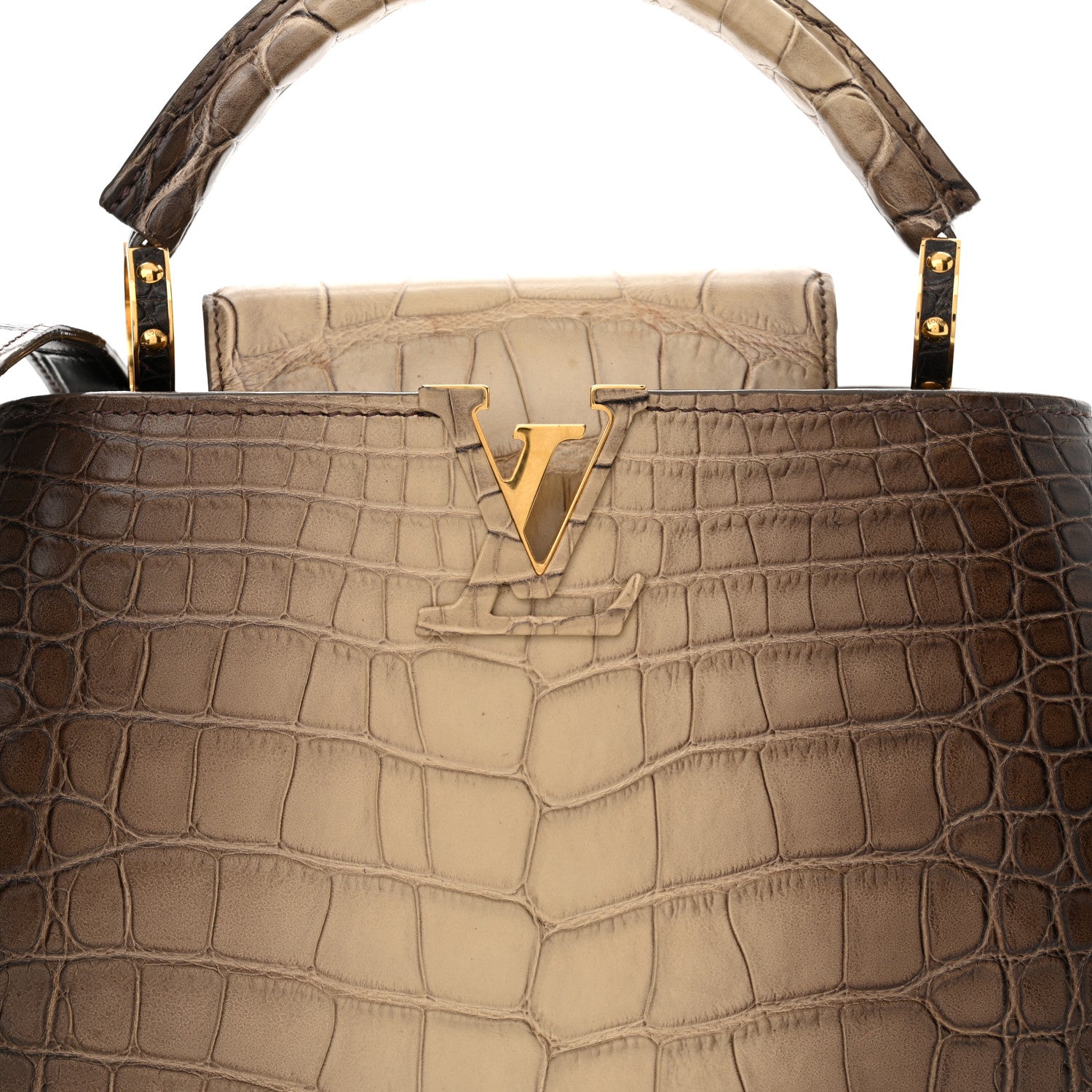 Louis Vuitton Alligator Capucines BB 8 of 10