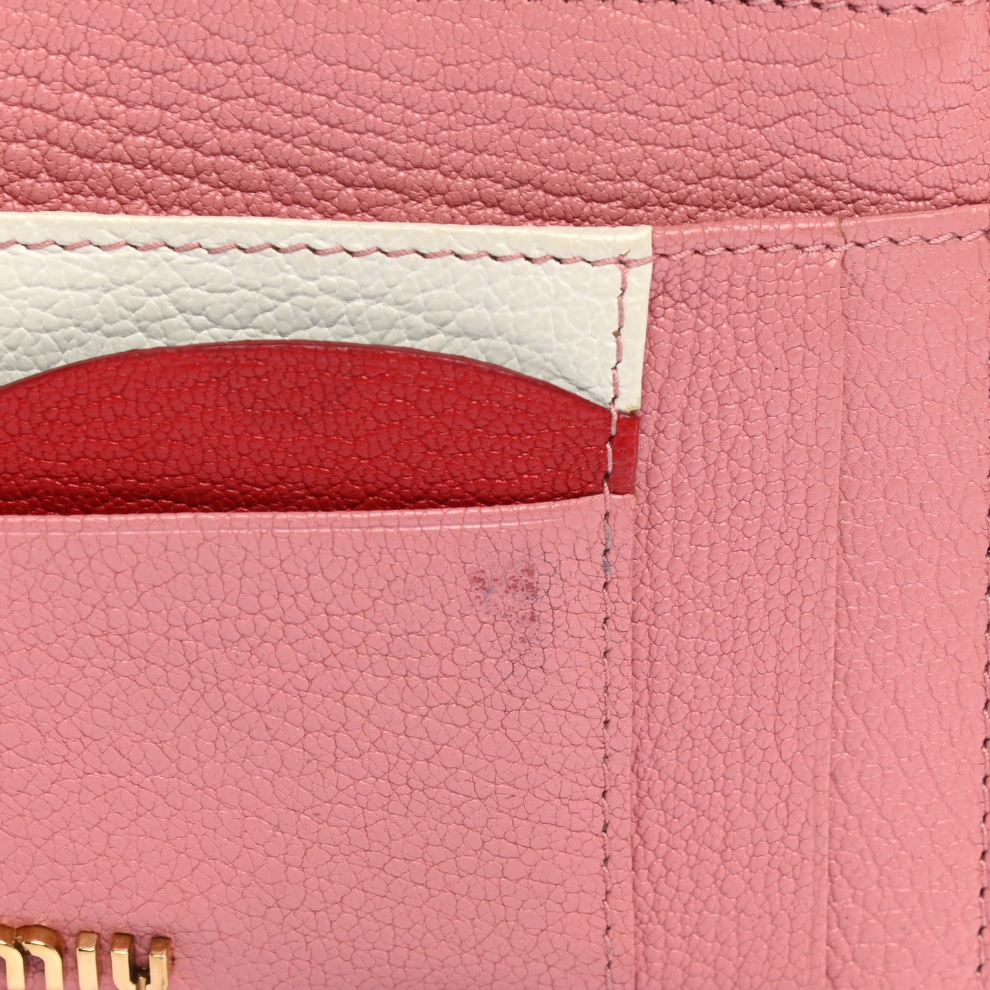 Madras Colour Zip Card Case Orchidea Rosa