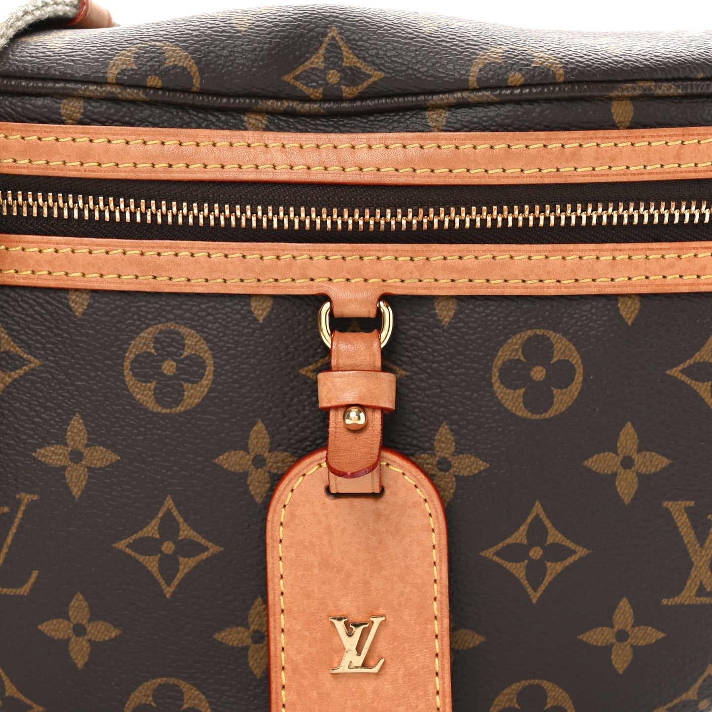 Monogram High Rise Bumbag