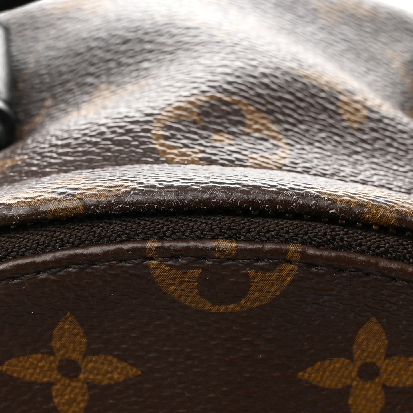 Monogram Palm Springs Backpack PM