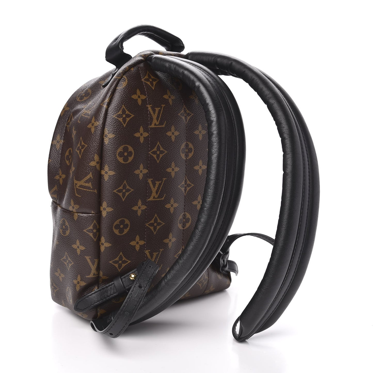 Monogram Palm Springs Backpack PM