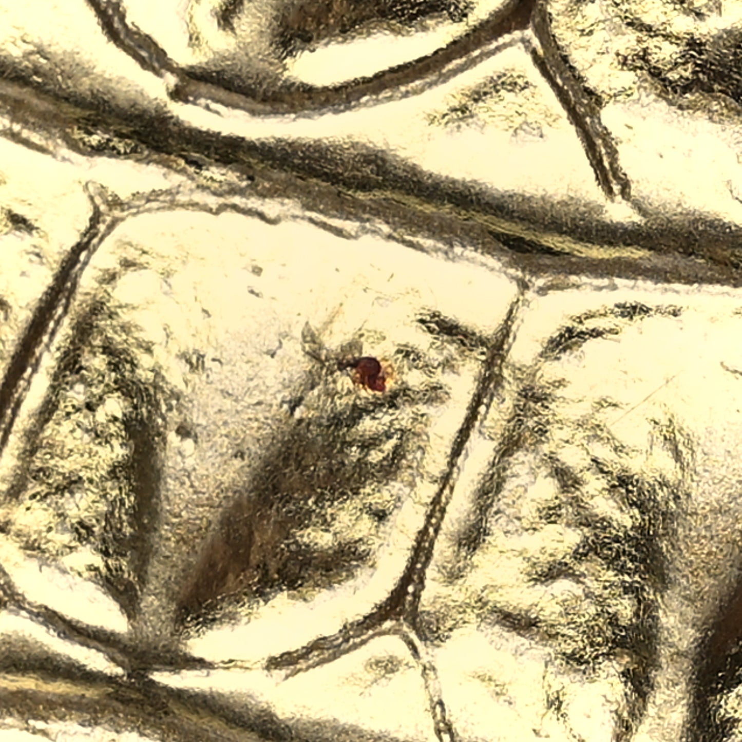 Metallic Calfskin Crocodile Embossed Cocodile Card Holder Gold