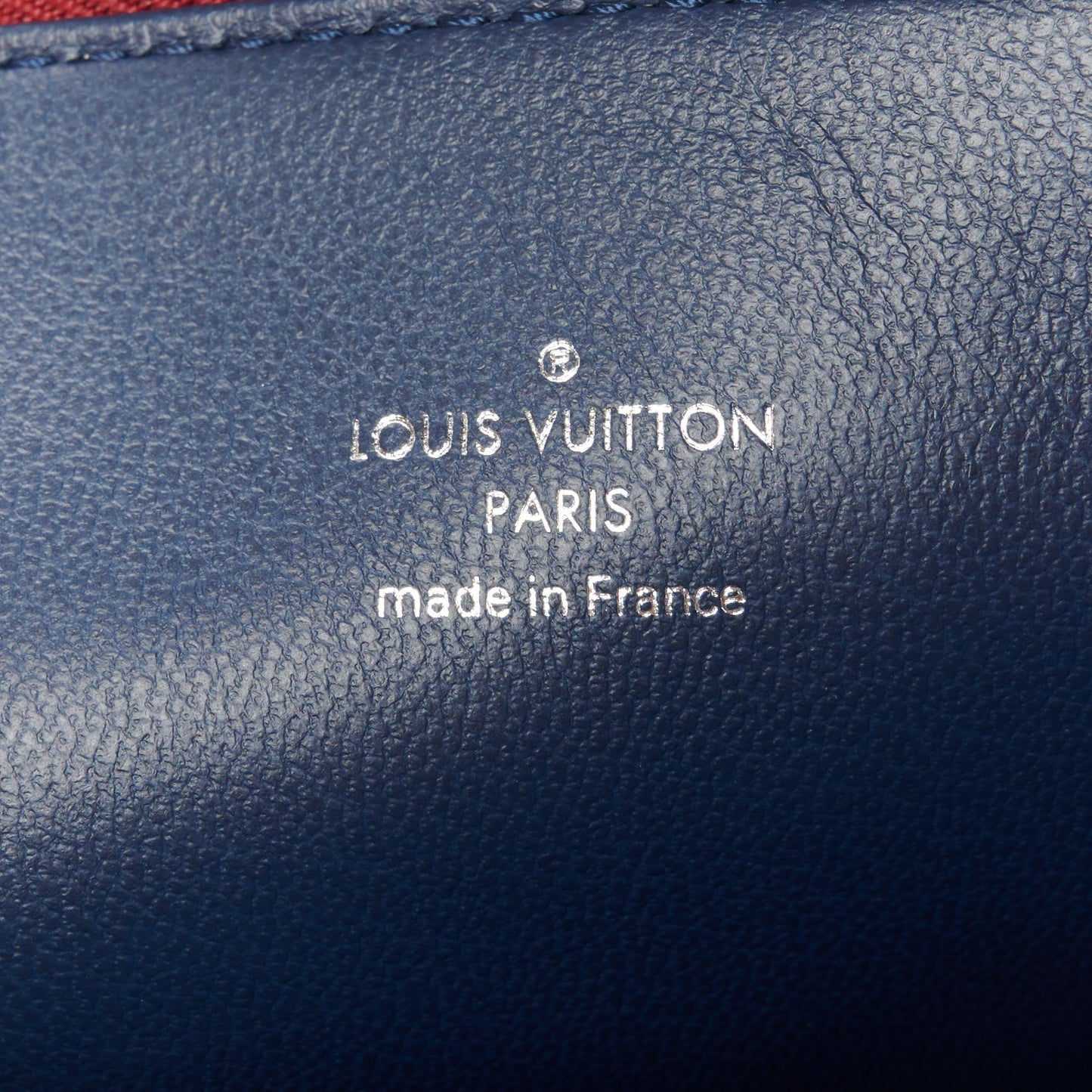 Lambskin Embossed Monogram Coussin PM Wine