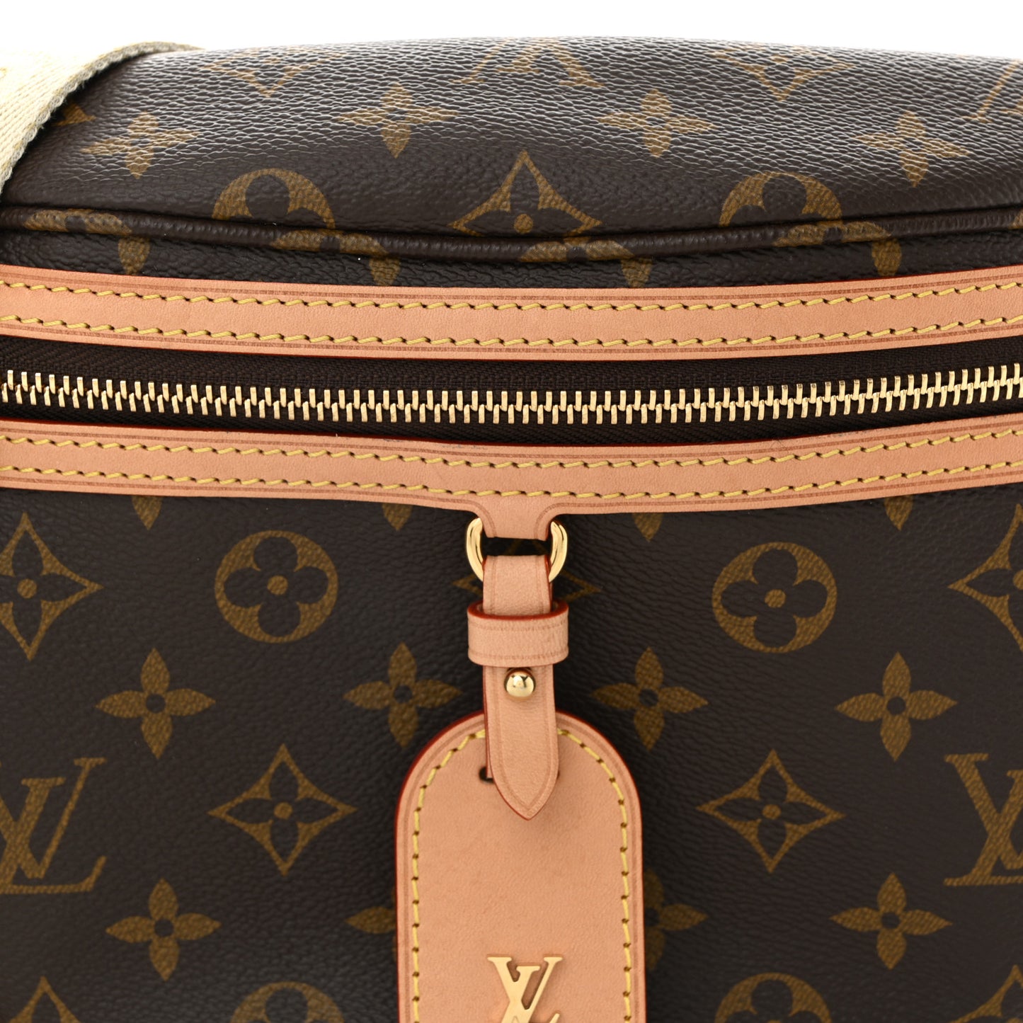 Monogram High Rise Bumbag