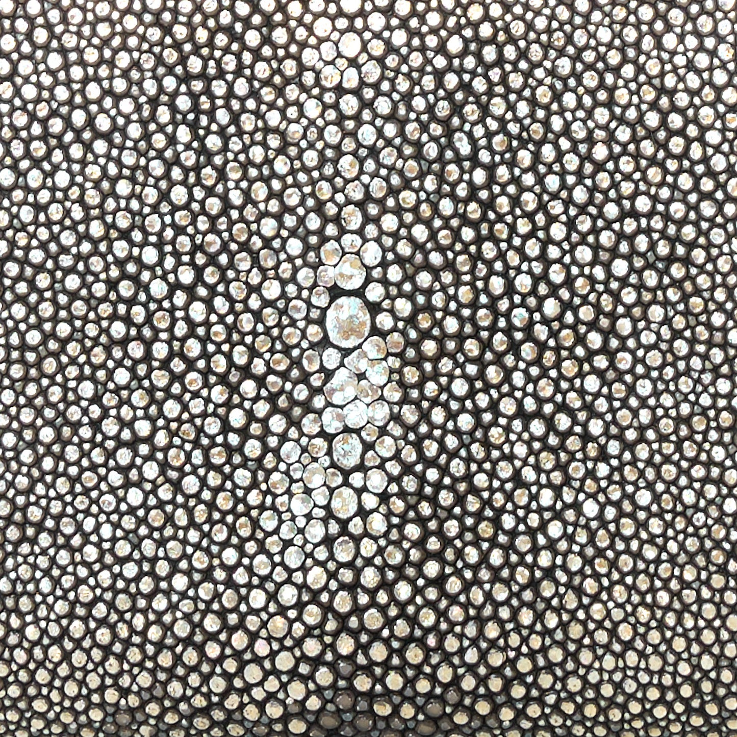 Metallic Galuchat Stingray Lambskin Boy Gusset Zip Wallet Dark Silver