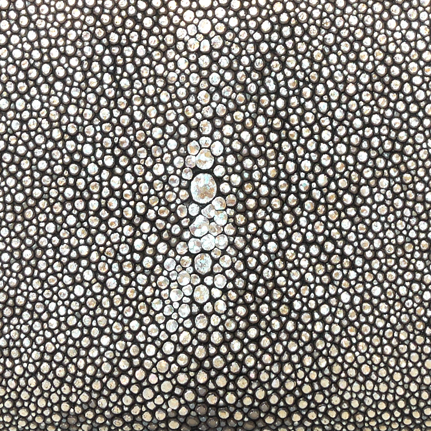 Chanel Metallic Galuchat Stingray Lambskin Boy Gusset Zip Wallet Dark Silver 9 of 11