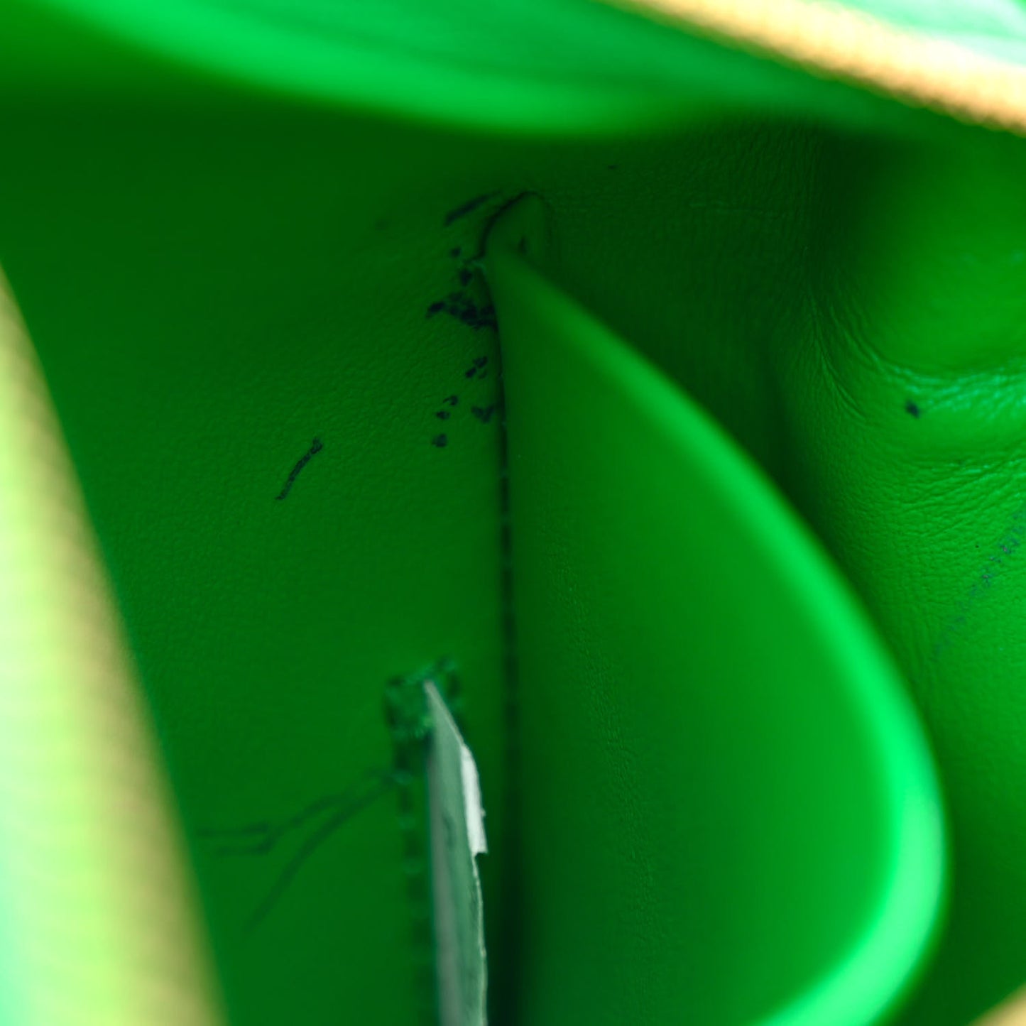 Nappa Intrecciato Mini Loop Camera Bag Parakeet