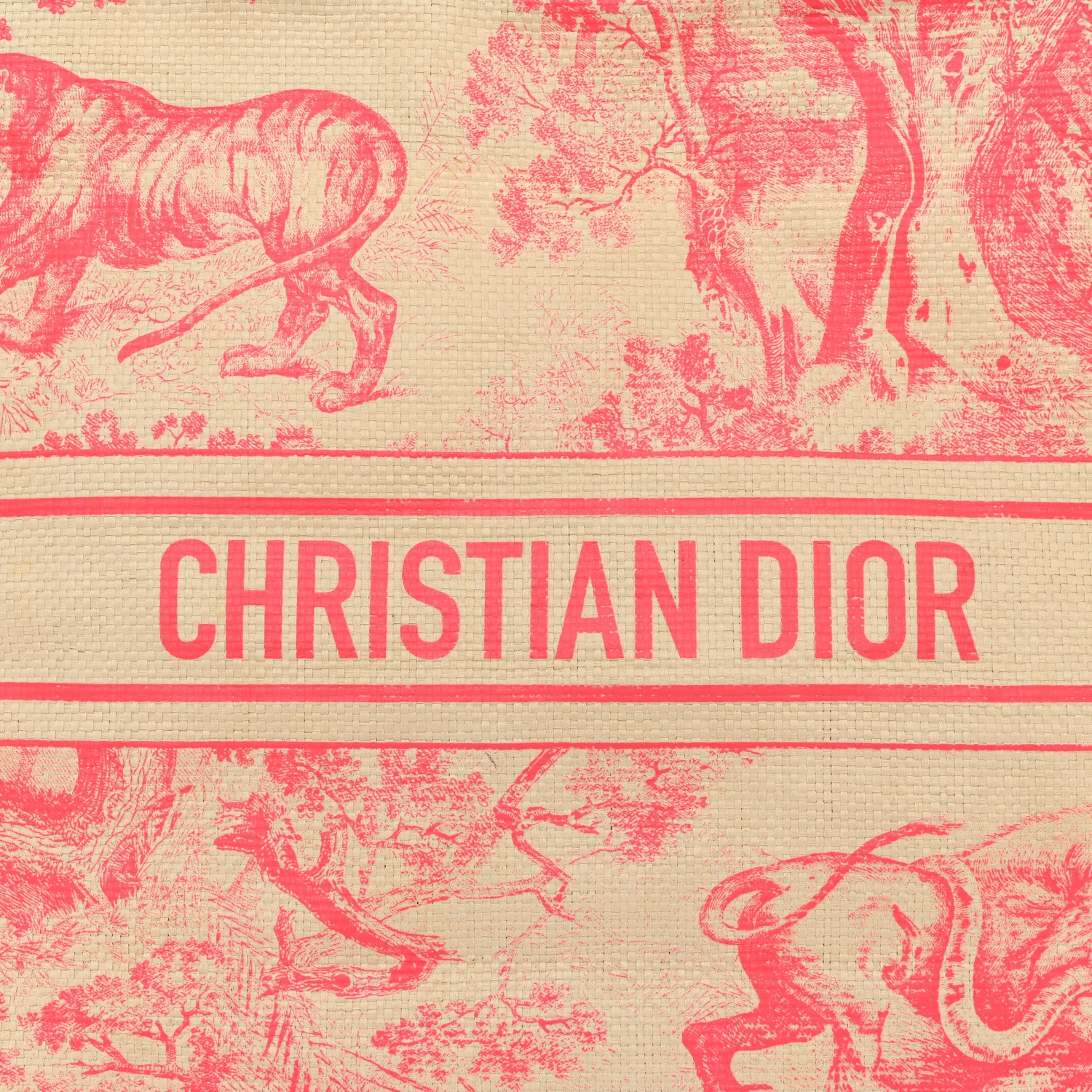 Christian Dior Straw Dioriviera Tote Pink 7 of 10