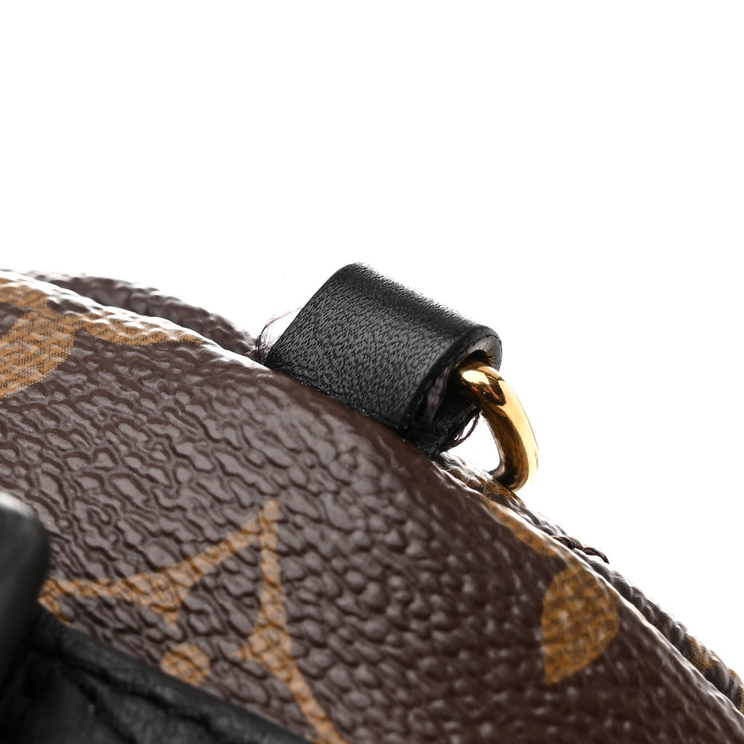 Monogram Palm Springs Backpack Mini